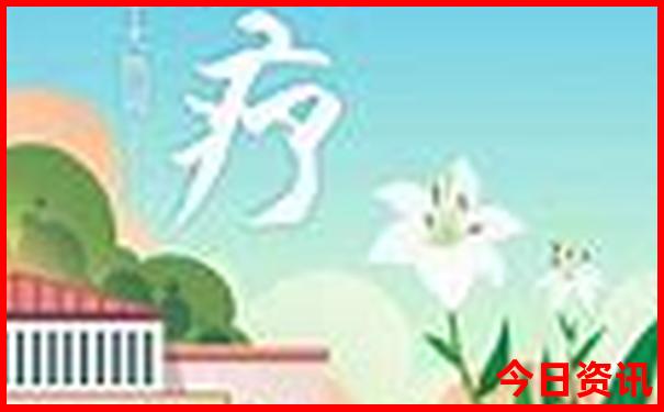 2025全新热议全年资料免费全新解答大全全新查询-2025正版资料免费大全资料